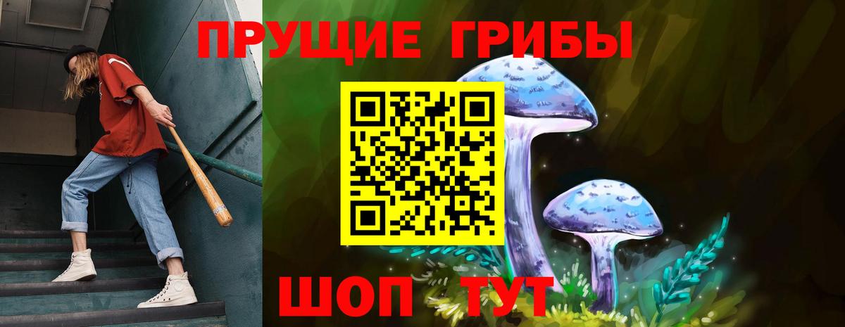 Галлюциногенные грибы Psilocybine cubensis Красноярск