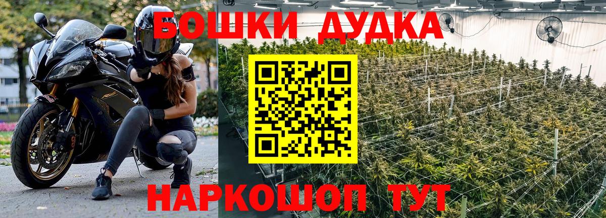 Конопля SATIVA & INDICA Красноярск